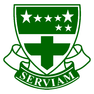 logo serviam